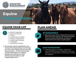 Equine Preparedness